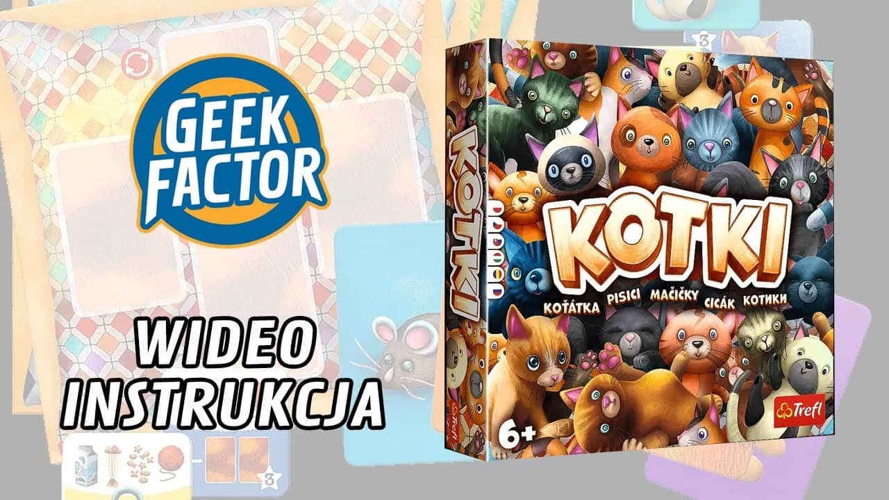 Jak grać w Kotki - Proste zasady i skuteczne strategie na start