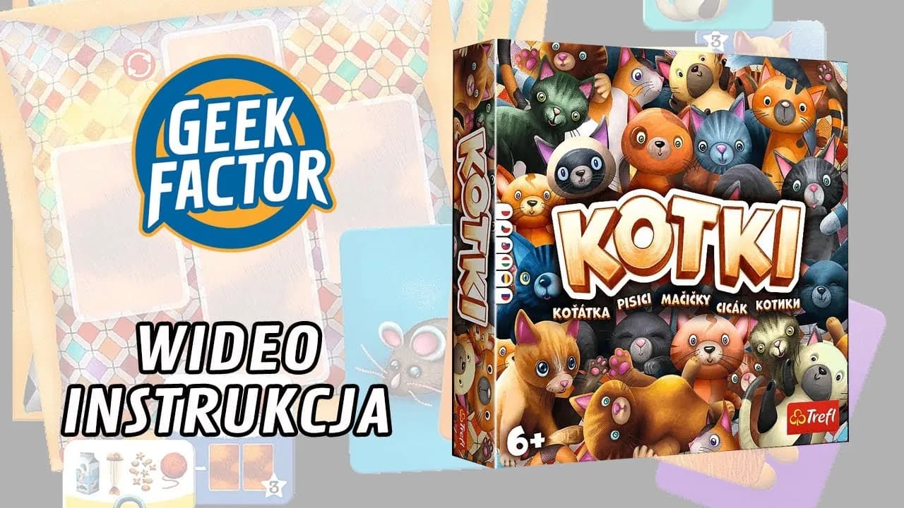 Jak grać w Kotki - Proste zasady i skuteczne strategie na start