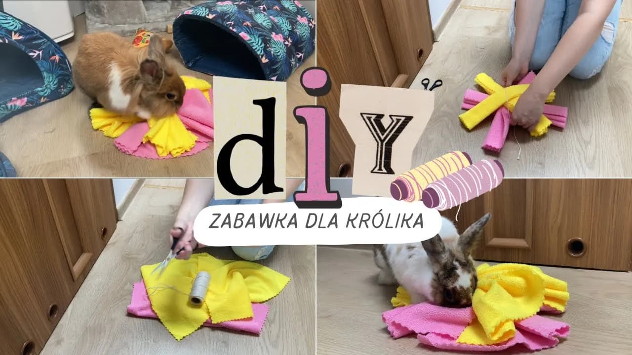 Jak zrobić zabawki dla królika: proste i bezpieczne pomysły DIY