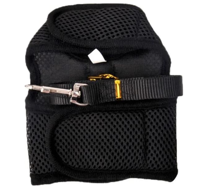 Czy szelki dla królika są dobre? Poznaj ważne zasady bezpieczeństwa