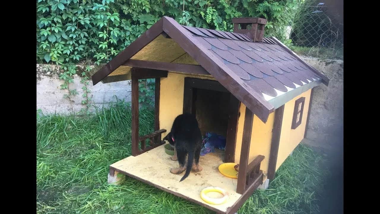 Jak zrobić budę dla psa z płyty OSB - proste kroki i ważne wskazówki