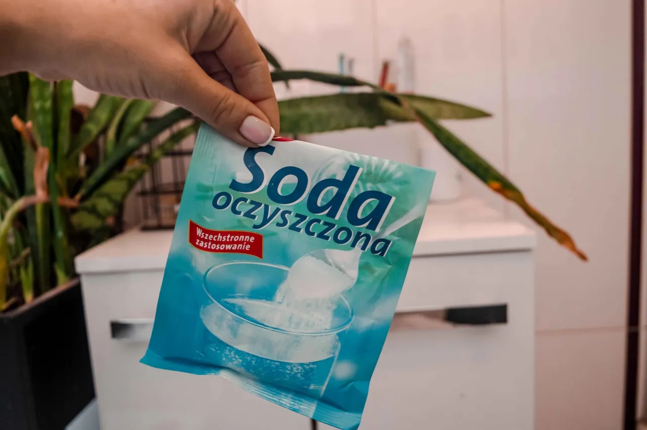 Jak pozbyć się sierści z ubrań podczas prania i cieszyć się czystością