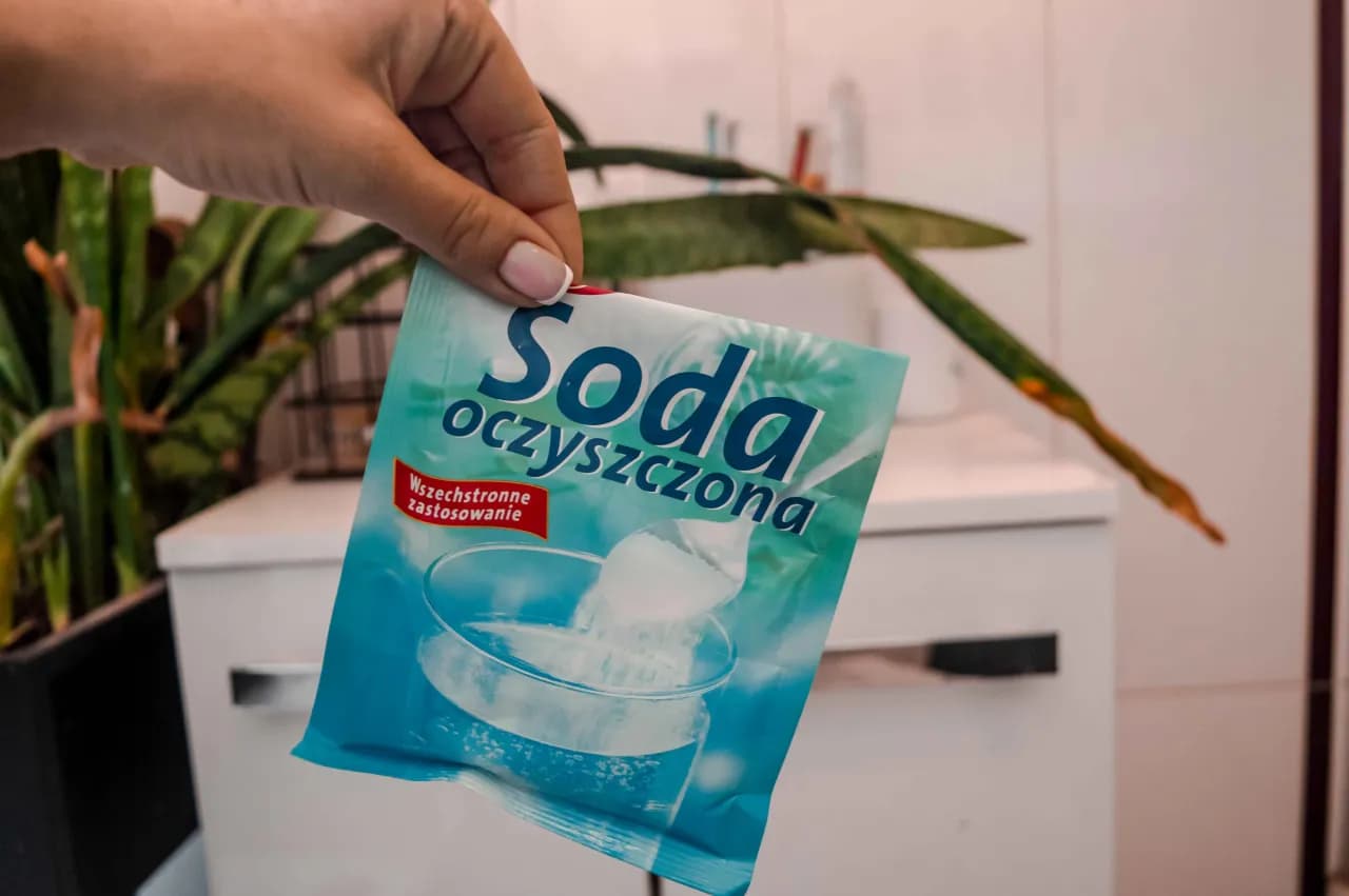 Jak pozbyć się sierści z ubrań podczas prania i cieszyć się czystością