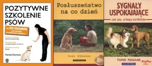 Jak tresować golden retrievera: skuteczne metody na posłuszeństwo