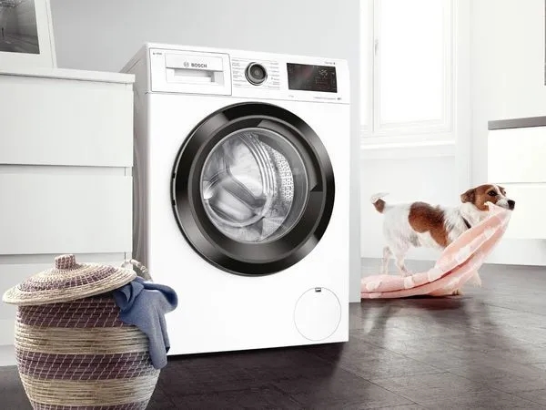 Skuteczne sposoby na to, jak pozbyć się sierści z pralki
