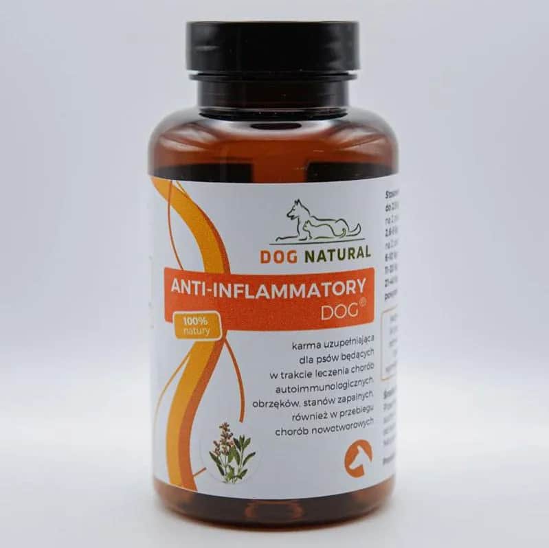 Jakie zioła dla psa są bezpieczne i skuteczne w leczeniu dolegliwości