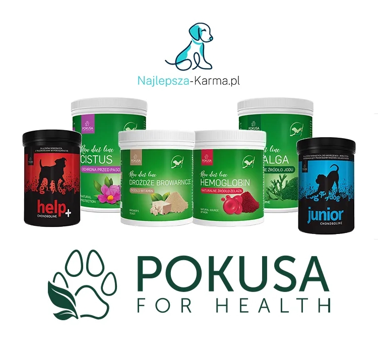 Jakie suplementy dla psa poprawią zdrowie i samopoczucie pupila